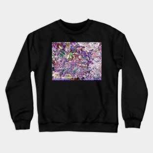 Anna Livia Plurabella 30 Crewneck Sweatshirt